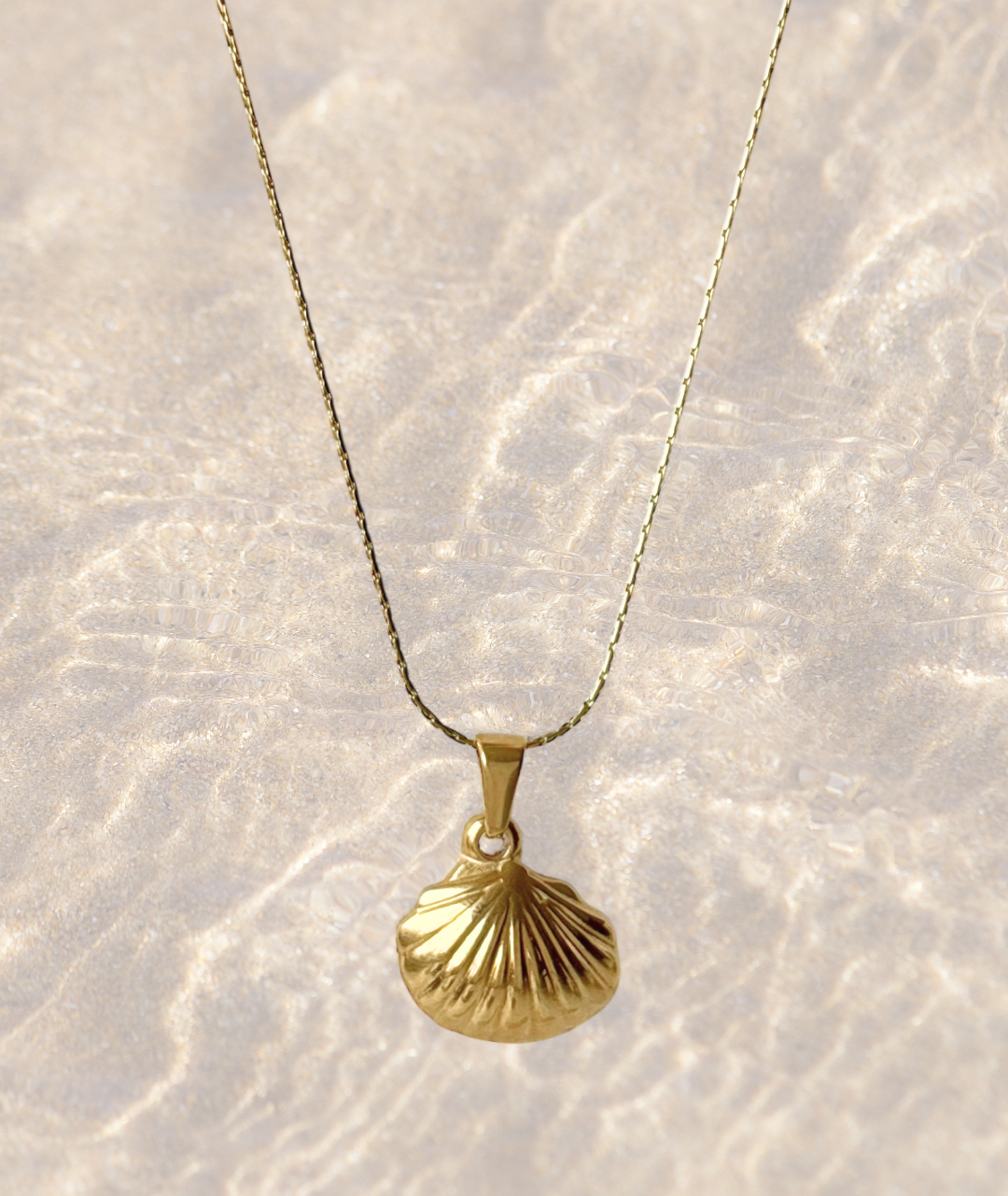Shell Fine