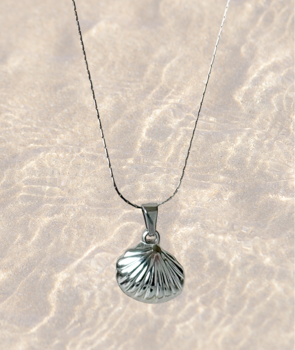 Shell Fine