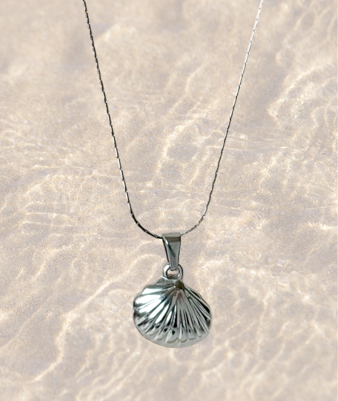 Shell Fine