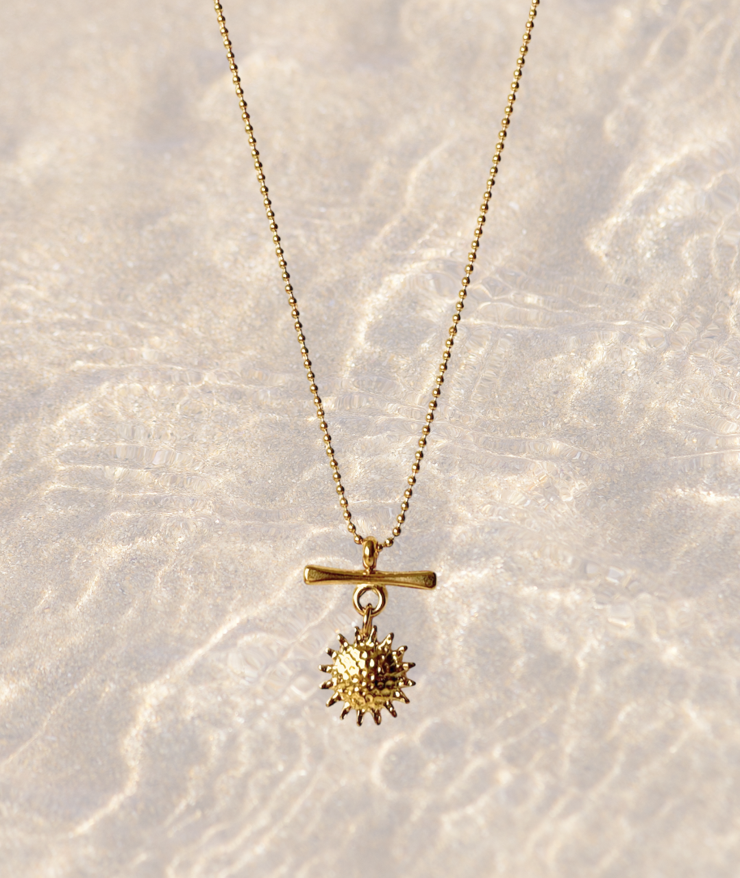 Solar Ray