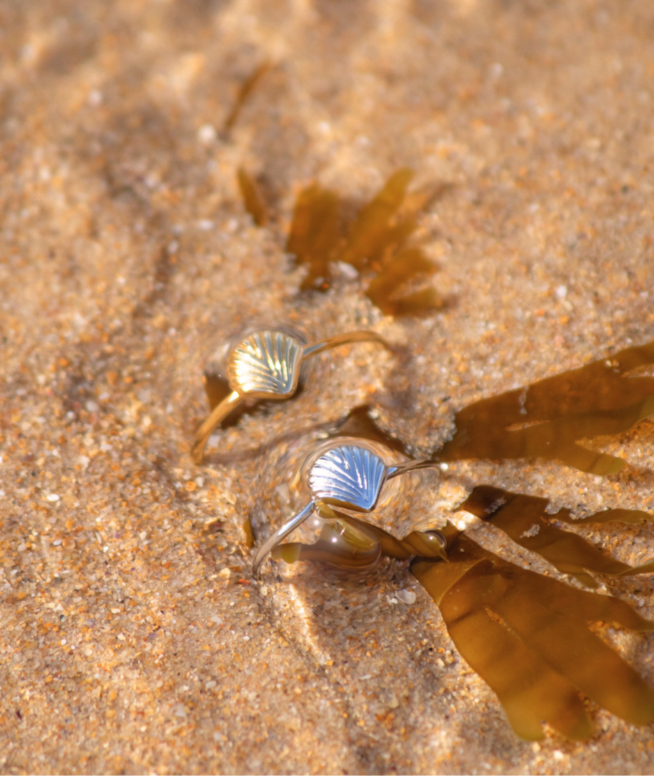Shell