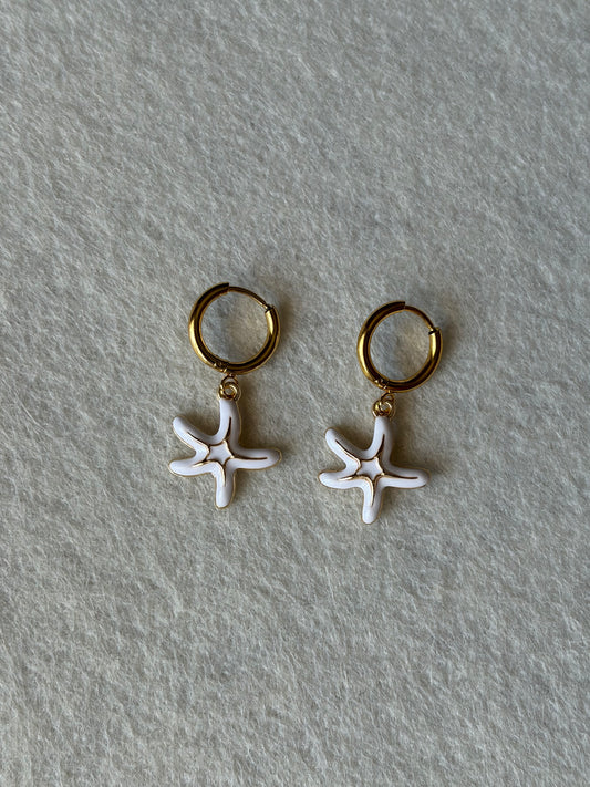 Brincos Estrela Costeira